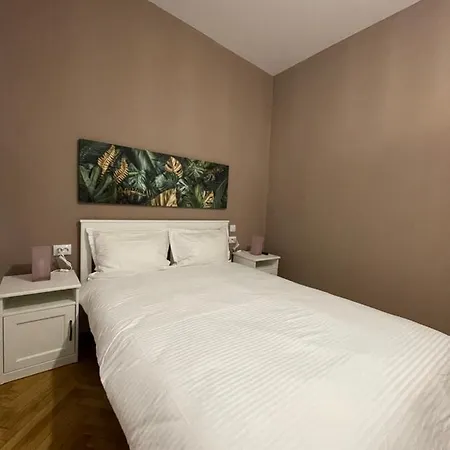 Schei Central Studio Rooms In The Heart Of Brasov Braşov