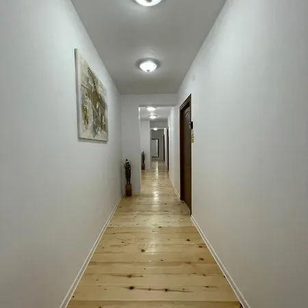 Schei In The Heart Of Брашов