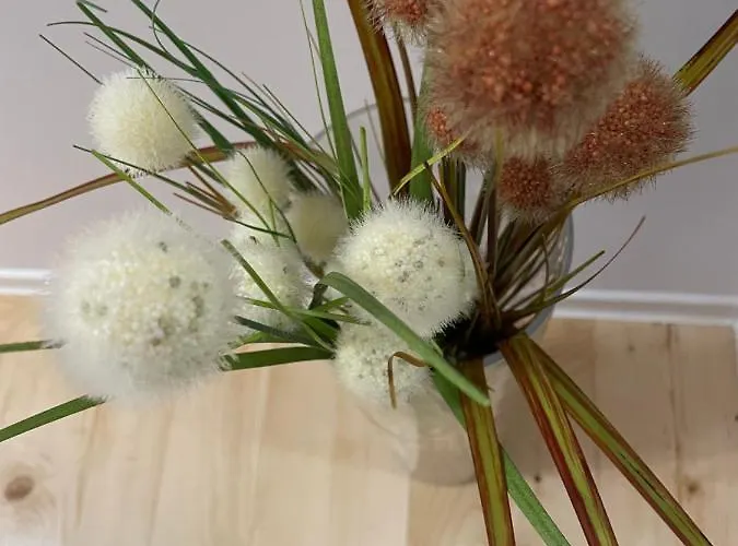 Schei In The Heart Of 아파트